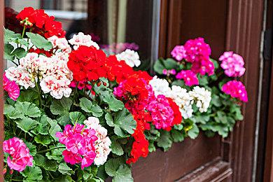 治愈风格生活模拟游戏《与幽灵共舞》公布首支预告片